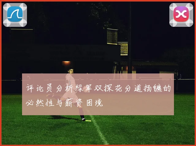 评论员分析绿军双探花分道扬镳的必然性与薪资困境