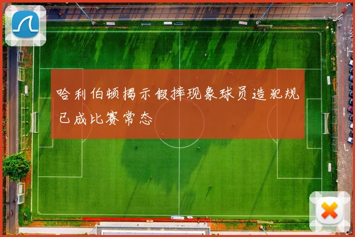 哈利伯顿揭示假摔现象球员造犯规已成比赛常态